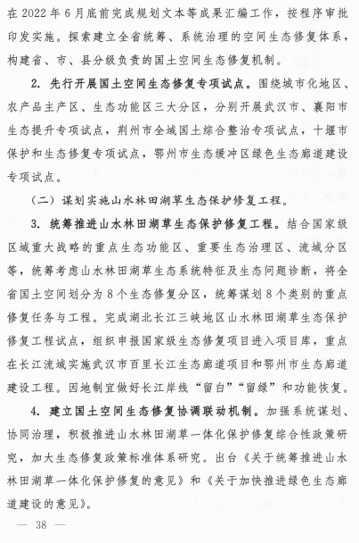 湖北省印发长江高水平保护十大攻坚提升行动方案(图41)