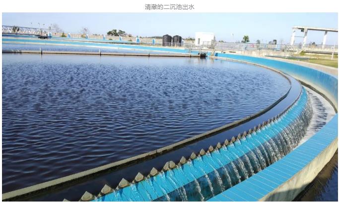 18.jpg PACT工艺实现工业废水污水处理厂的节能环保提标改造(图19)