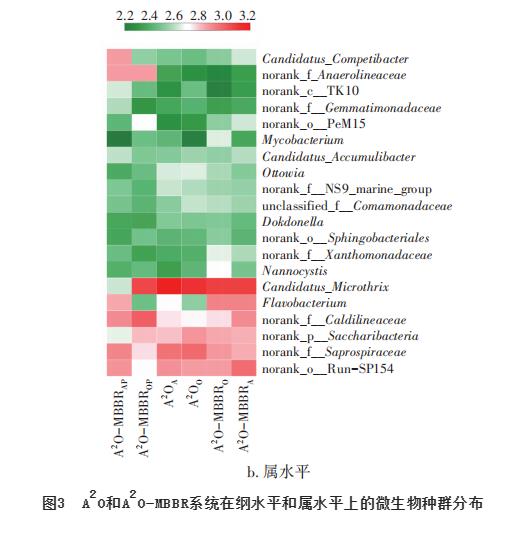 2.jpg 大型污水厂中填料对A2O系统微生物种群的影响(图6)