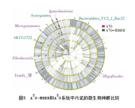 1.jpg 大型污水厂中填料对A2O系统微生物种群的影响(图5)