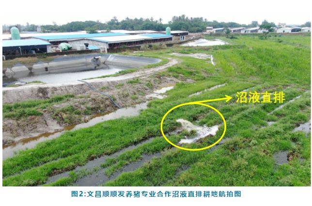 1.jpg 典型案例 丨文昌市珠溪河流域水质污染严重控源截污成效不明显 水环境问题依然突出(图2)