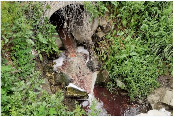 2.jpg 典型案例丨以逃避监管方式排放水污染物 临沂一企业负责人被行政拘留9日!(图2)