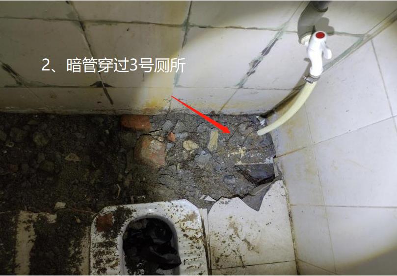 8.jpg 迂回曲折40米 这样偷排真是活久见!(图10)