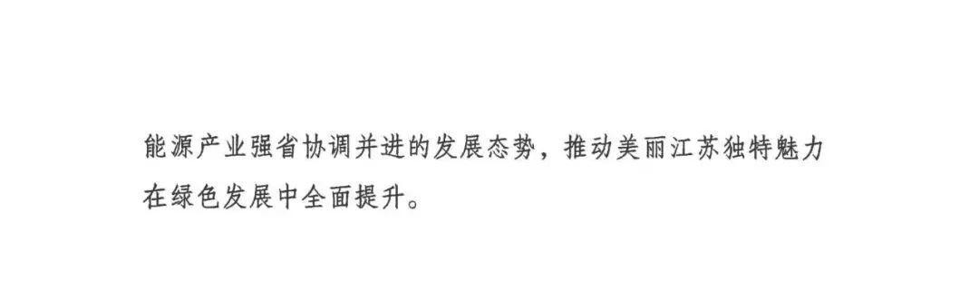 10.jpg 江苏省“十四五”可再生能源规划:生活垃圾焚烧发电装机规模达到200万千瓦左右(图10)
