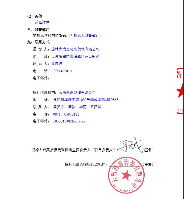 曲靖大为焦化制供气有限公司VOCs治理项目EPC总承包招标公告(图9)
