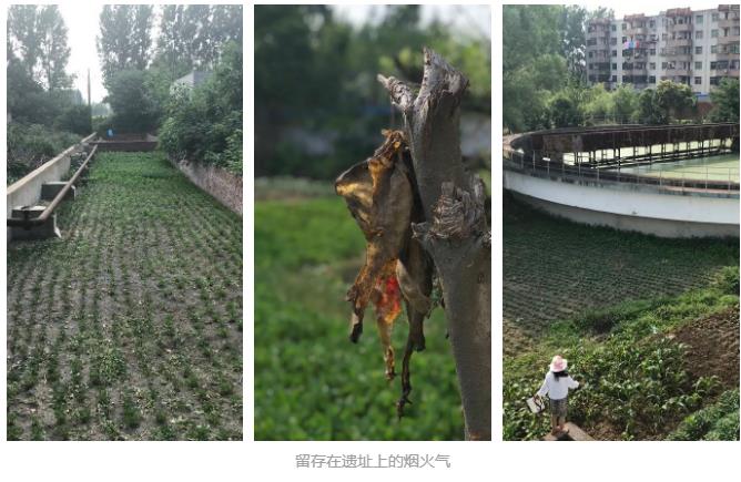 3.jpg 探索概念厂改造新模式:河南息县第三污水处理厂(图5)