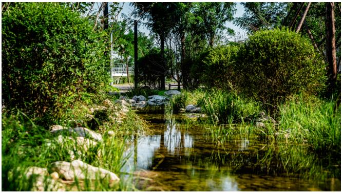 1.jpg 探索概念厂改造新模式:河南息县第三污水处理厂(图16)