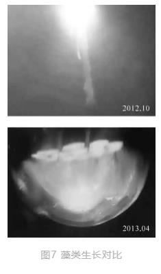 2.jpg 世界唯一水下博物馆中的循环水净化工艺(图7)