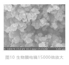 3.jpg 世界唯一水下博物馆中的循环水净化工艺(图9)